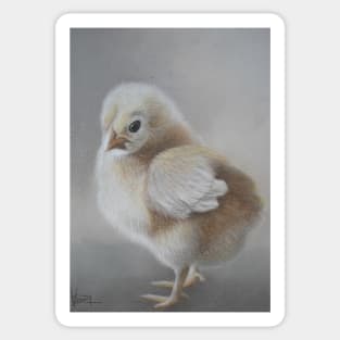 Baby Chick Sticker